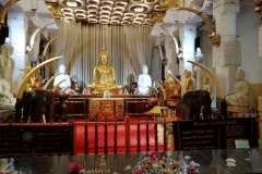 viber-image-2019-02-26-19.43.43