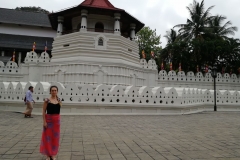 viber-image-2019-02-26-19.43.45