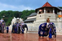 viber-image-2019-02-26-19.43.49