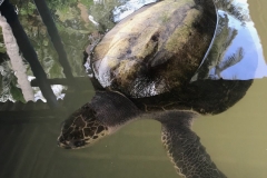 viber-image-2019-03-01-20.45.51