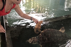 viber-image-2019-03-01-20.46.30