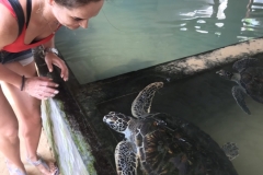 viber-image-2019-03-01-20.46.49