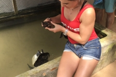 viber-image-2019-03-01-20.47.53