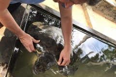 viber-image-2019-03-01-20.48.07