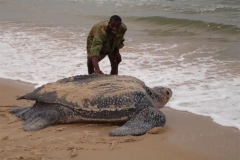 viber-image-2019-03-01-20.49.11