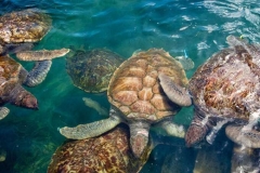 viber-image-2019-03-01-20.49.28