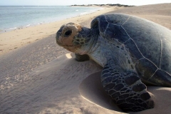 viber-image-2019-03-01-20.49.41