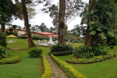 zobrazhennya_viber_2019-07-05_18-09-13