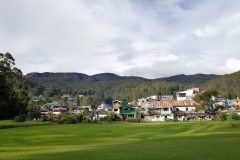 zobrazhennya_viber_2019-07-05_18-10-27