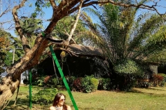 viber-image-2019-03-01-21.42.19