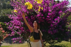 viber-image-2019-03-01-21.42.21