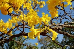 viber-image-2019-03-01-21.42.24