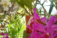 viber-image-2019-03-01-21.42.31-1