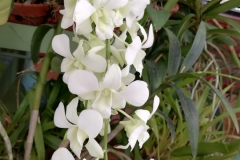 viber-image-2019-03-01-21.42.39-1