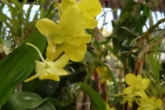 viber-image-2019-03-01-21.42.42-1