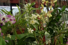 viber-image-2019-03-01-21.42.44