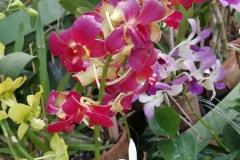 viber-image-2019-03-01-21.42.46