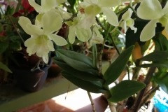 viber-image-2019-03-01-21.42.49-1