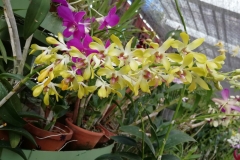 viber-image-2019-03-01-21.42.51-1