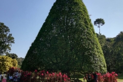 viber-image-2019-03-01-21.42.53