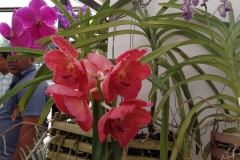 viber-image-2019-03-01-21.42.55-1