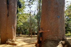 viber-image-2019-03-01-21.42.56-1