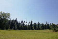 viber-image-2019-03-01-21.42.56