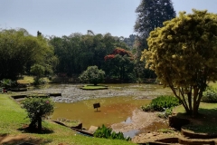 viber-image-2019-03-01-21.42.57