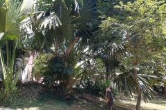 viber-image-2019-03-01-21.42.58