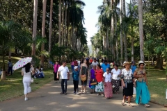 viber-image-2019-03-01-21.43.04