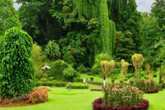 viber-image-2019-03-01-21.57.32