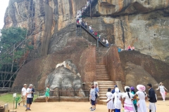 viber-image-2019-02-27-20.57.30